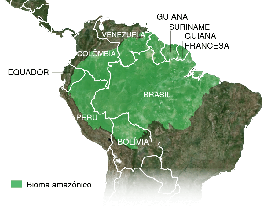  Foto zu Natural Wonders of Brazil: A Journey Through Paradise - Brazilian 