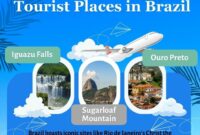 Brazil 94 World Cup Squad – brazil wiki – ブラジル 正式国名 – brasilien – smxpk Brazil 94 World Cup Squad – brazil wiki – ブラジル 正式国名 – brasilien – smxpk
