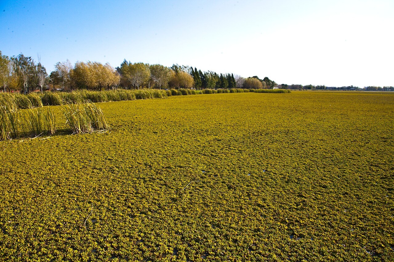  LAC Geo Bildidee 