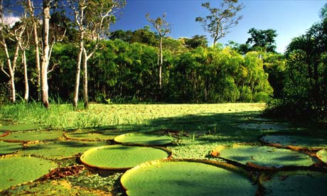  Brazil - Country Profiles, Key Facts & Original Articles Motiv 
