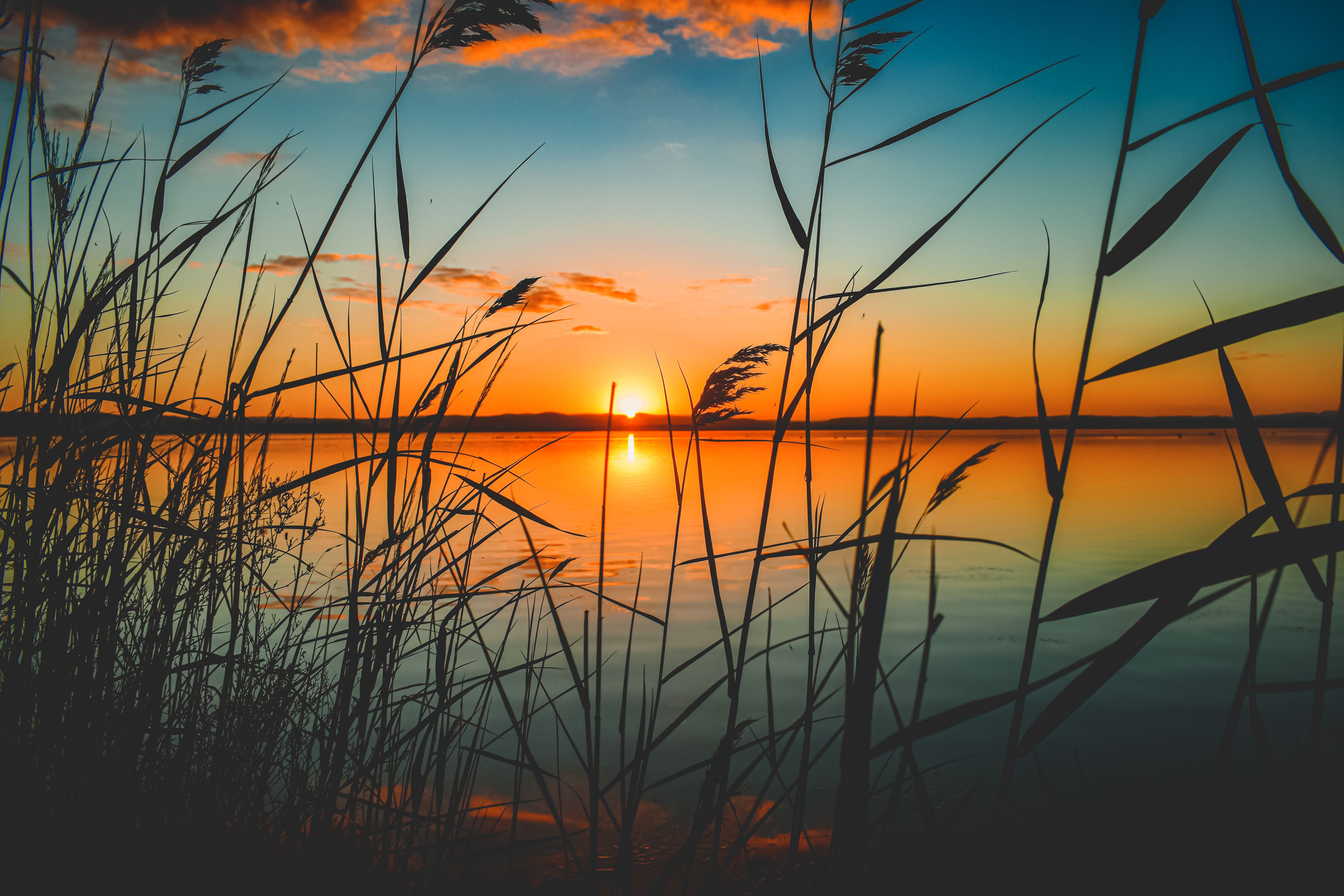  Gratis stockfoto van 4k achtergrond, 4k bureaublad, buiten. Illustration 