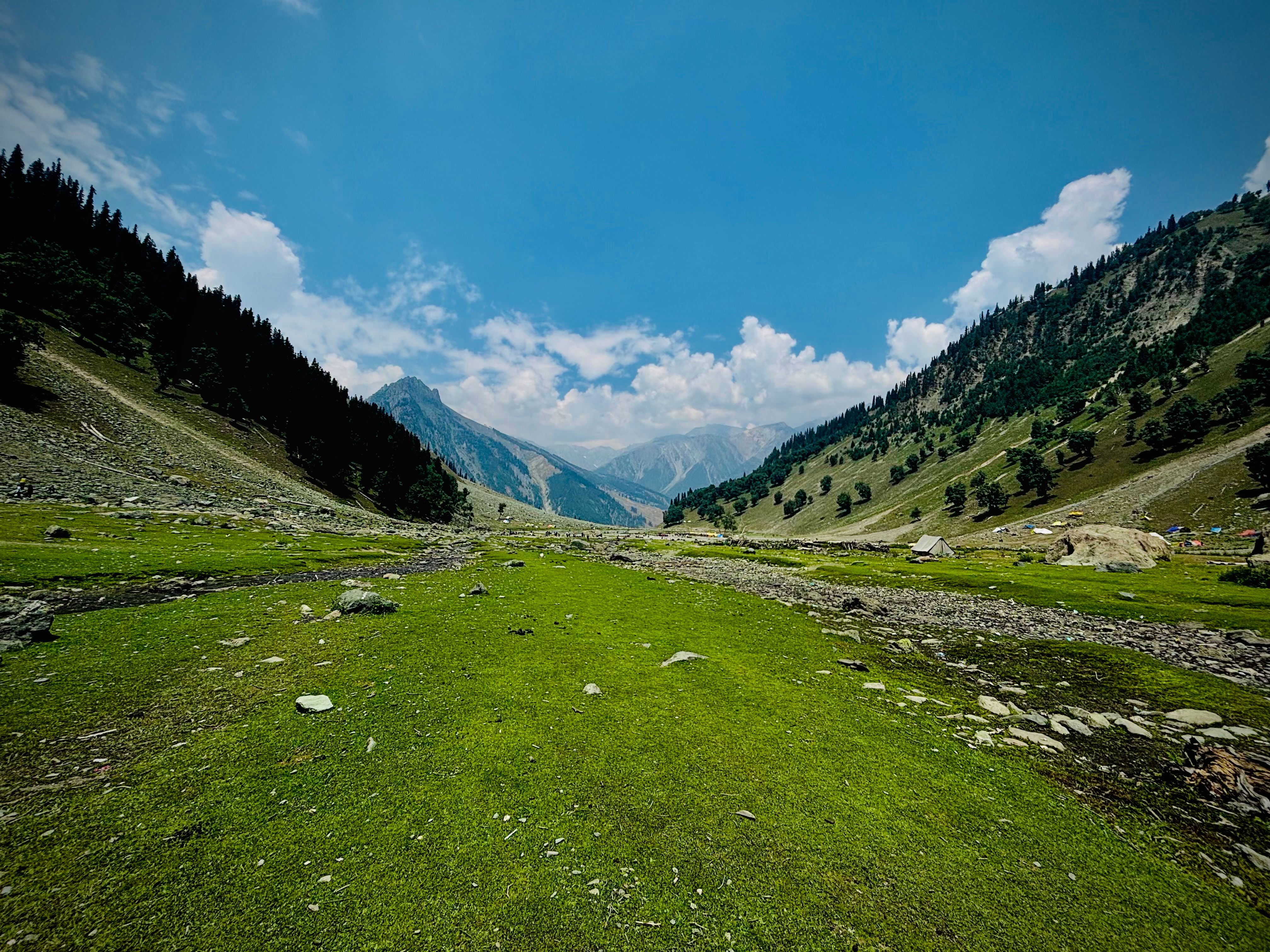  Nature Environment Photos, Download The BEST Free Nature Environment 