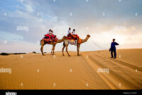 Iplayer Lite Telegram Bocil – rajasthan desert safari tour at ₹ 12499 in dehradun Iplayer Lite Telegram Bocil – rajasthan desert safari tour at ₹ 12499 in dehradun