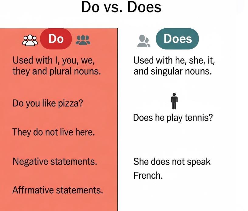  Do VS Does 