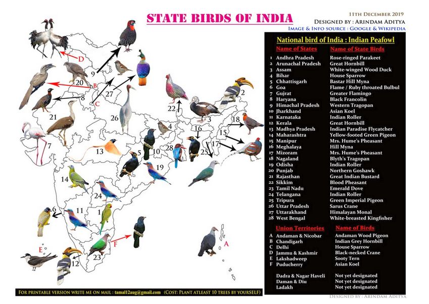  ARUNACHALA BIRDS Bildidee 
