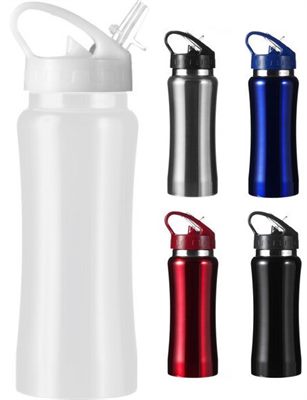  Stainless Steel Water Bottles are beautifully designed corporate drink Illustration 