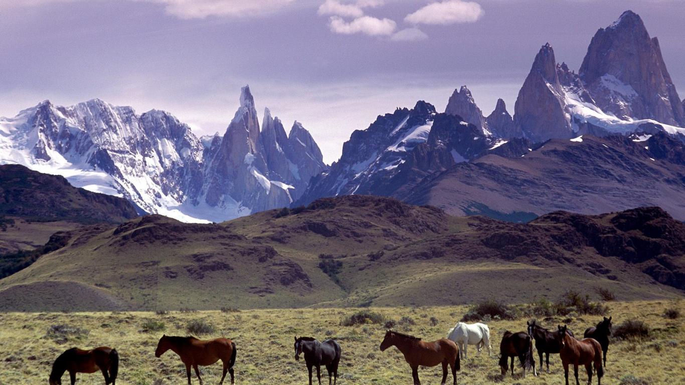  Argentina Fact Page: Physical Geography Illustration 