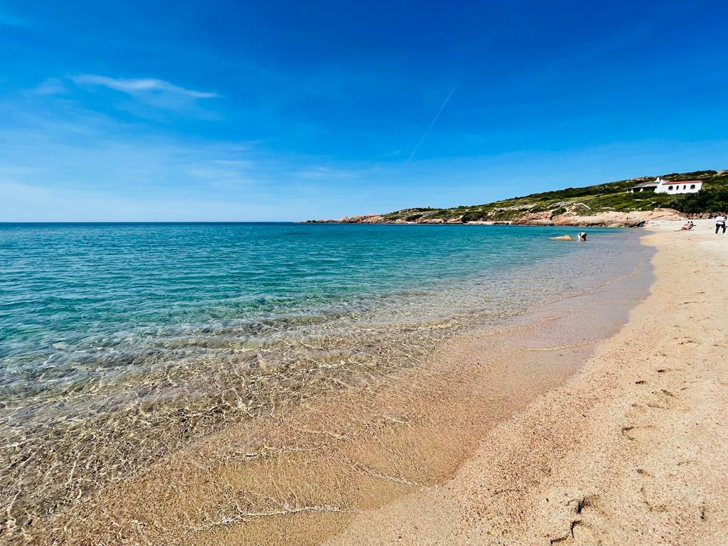 Pur Tour 2026 Jadwal Lengkap Kualifikasi Piala Dunia 2026 Zona Asia Putaran I