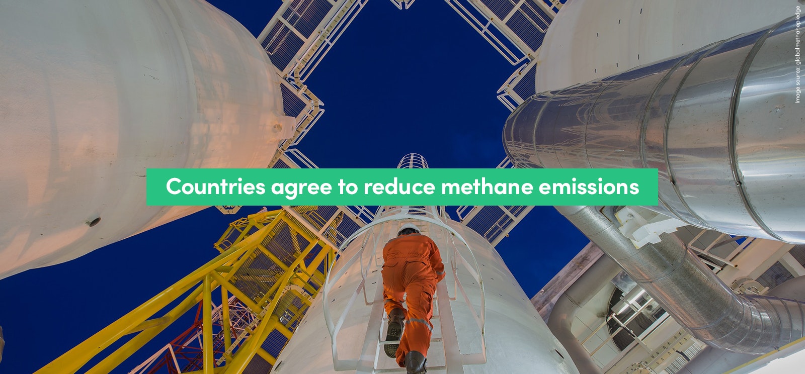 Cop 2026 Climate Challenges: Cop26 First Week Update – Hoopoe – A Blog By Nhbs