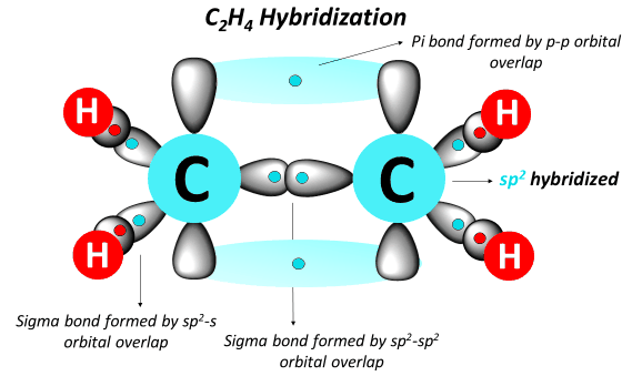 Betway Free Data App Download For Pc – Ethene hybridization what are the steps associated with the process of