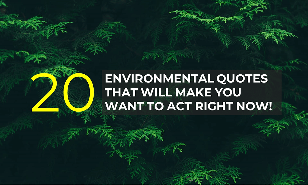 Partido Brasil Paraguay En Vivo – Safe work environment quotes at lawerence rivera blog