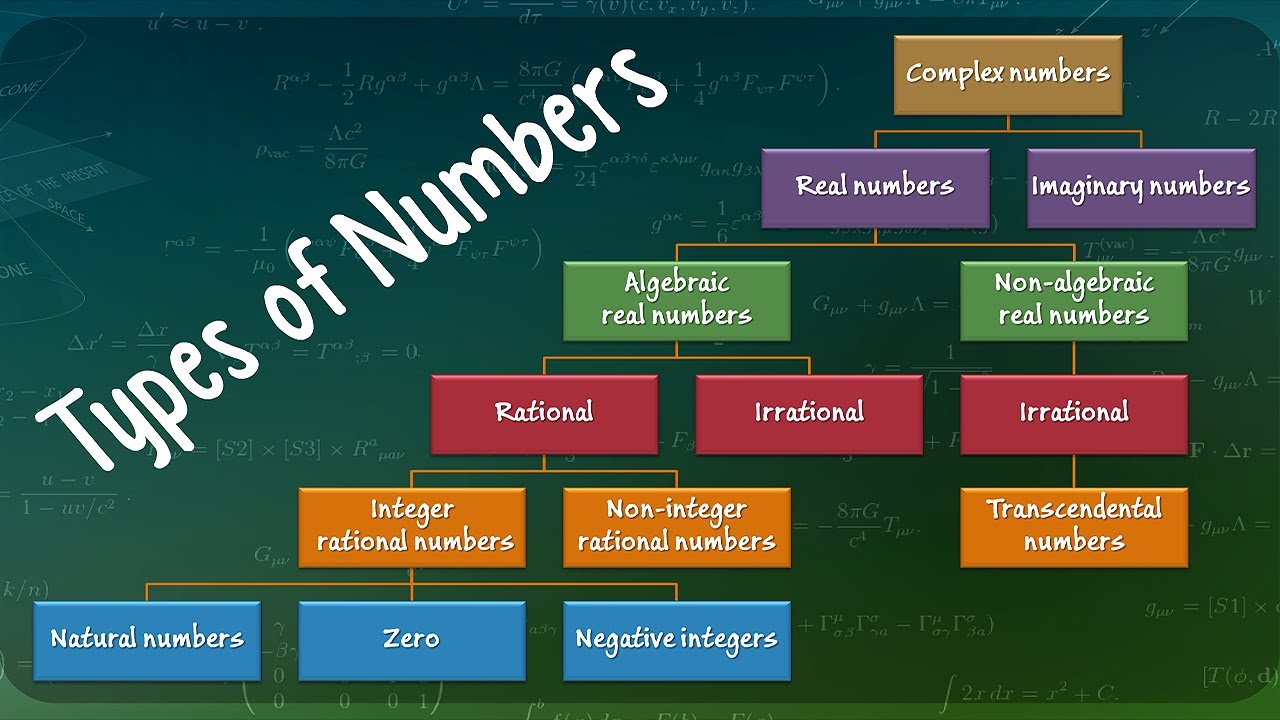 Primeiro Jogador Negro Do Brasil – types of numbers worksheet grade 4