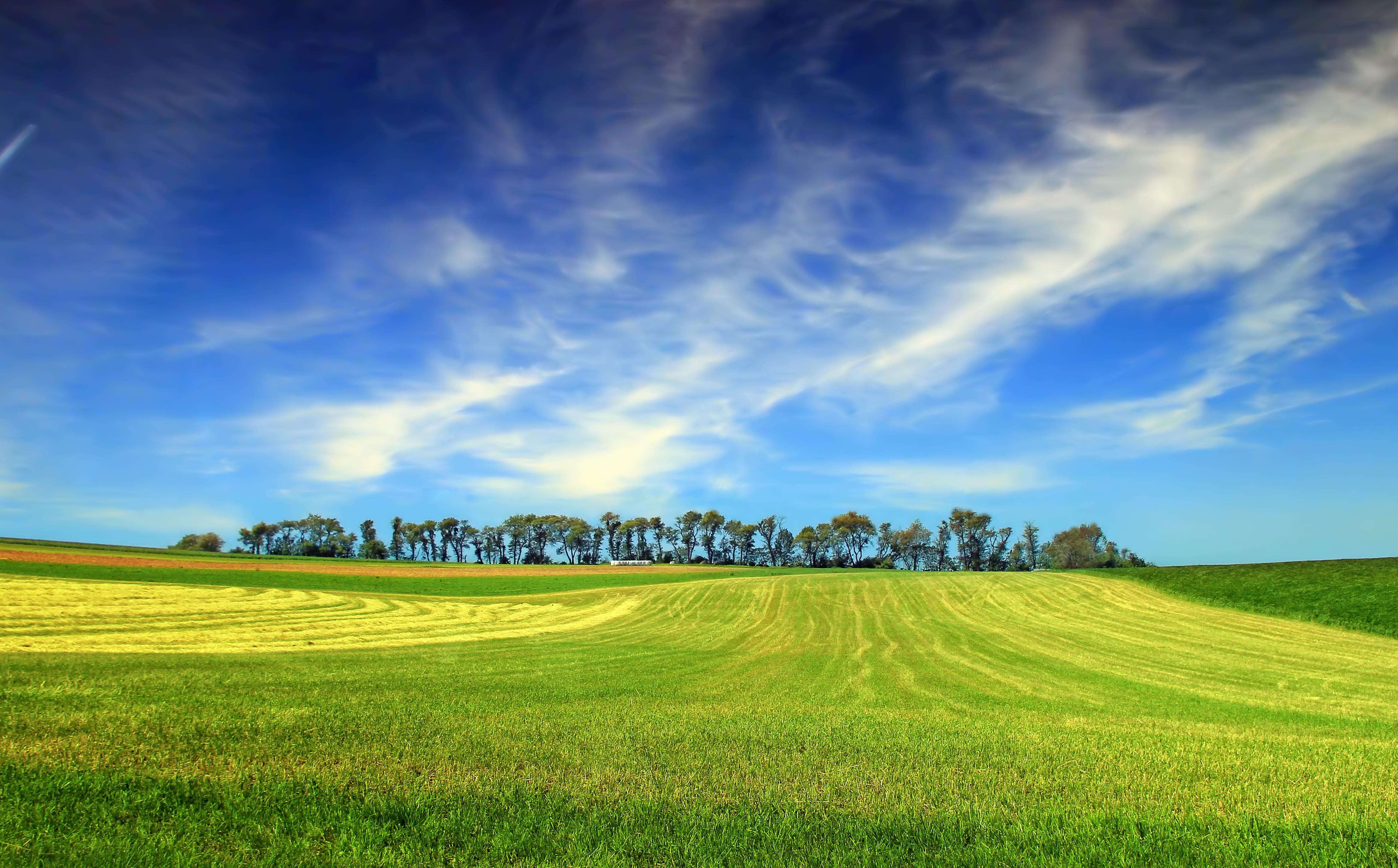  Foto gratis: rurale, erba, campagna, campo, paesaggio, cielo, collina 