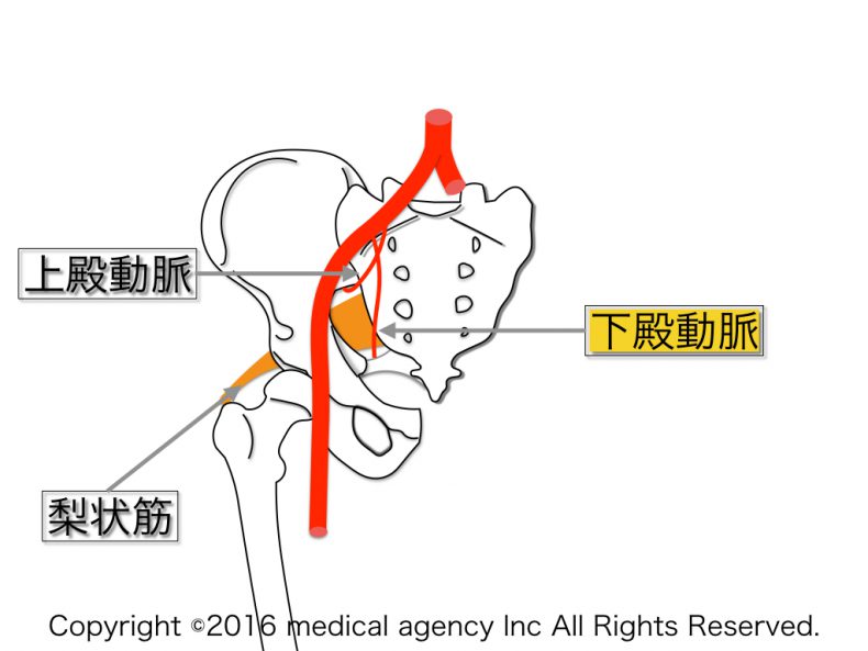 Coleen Rooney Children's Names – Visual anatomy 視覚解剖学