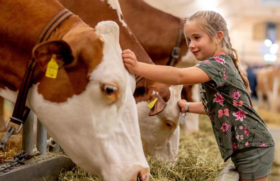 Oha Treffen 2026 oha: Die Herbstmesse Im Berner Oberland