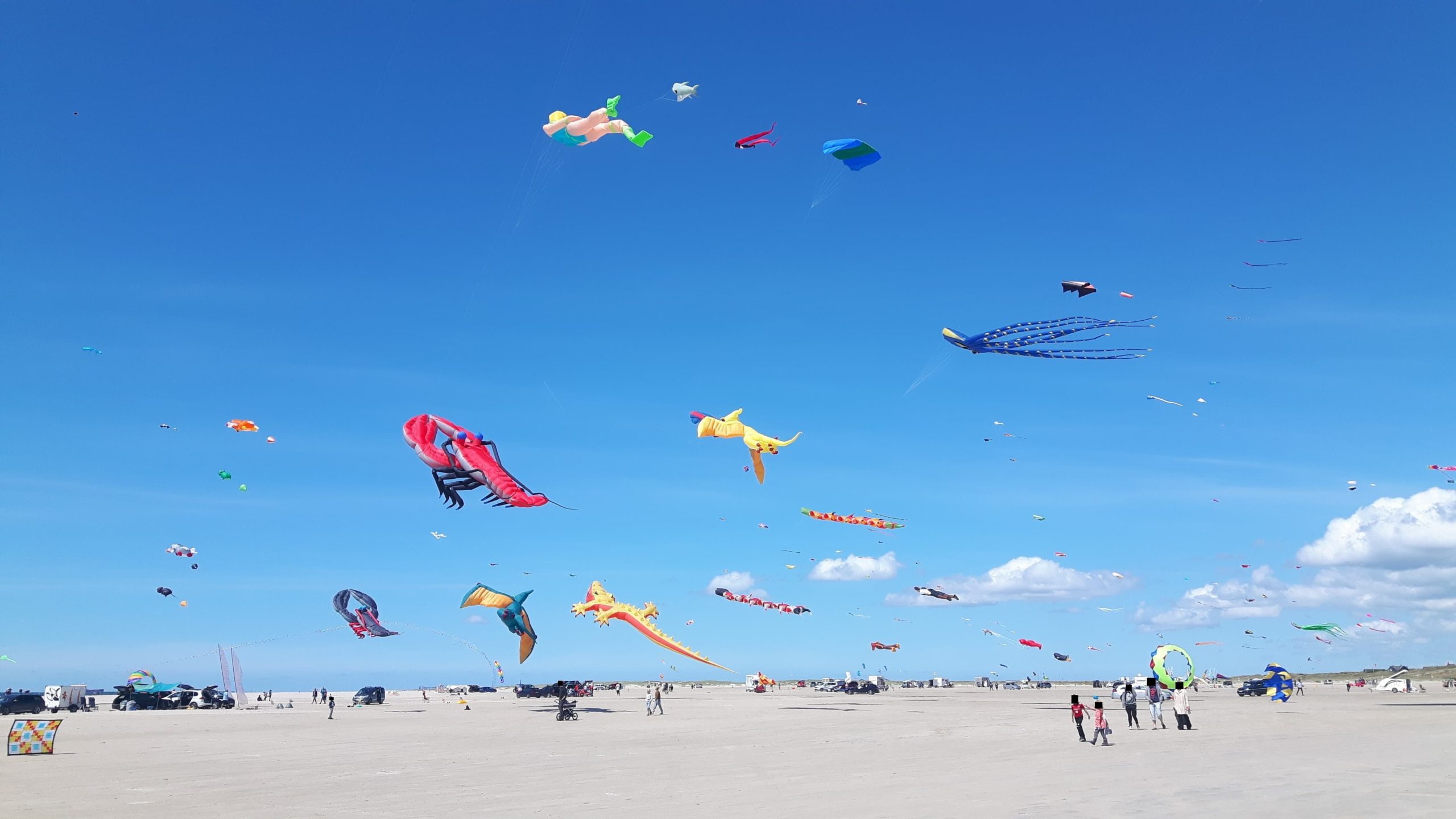  Fanø Reisen Illustration 