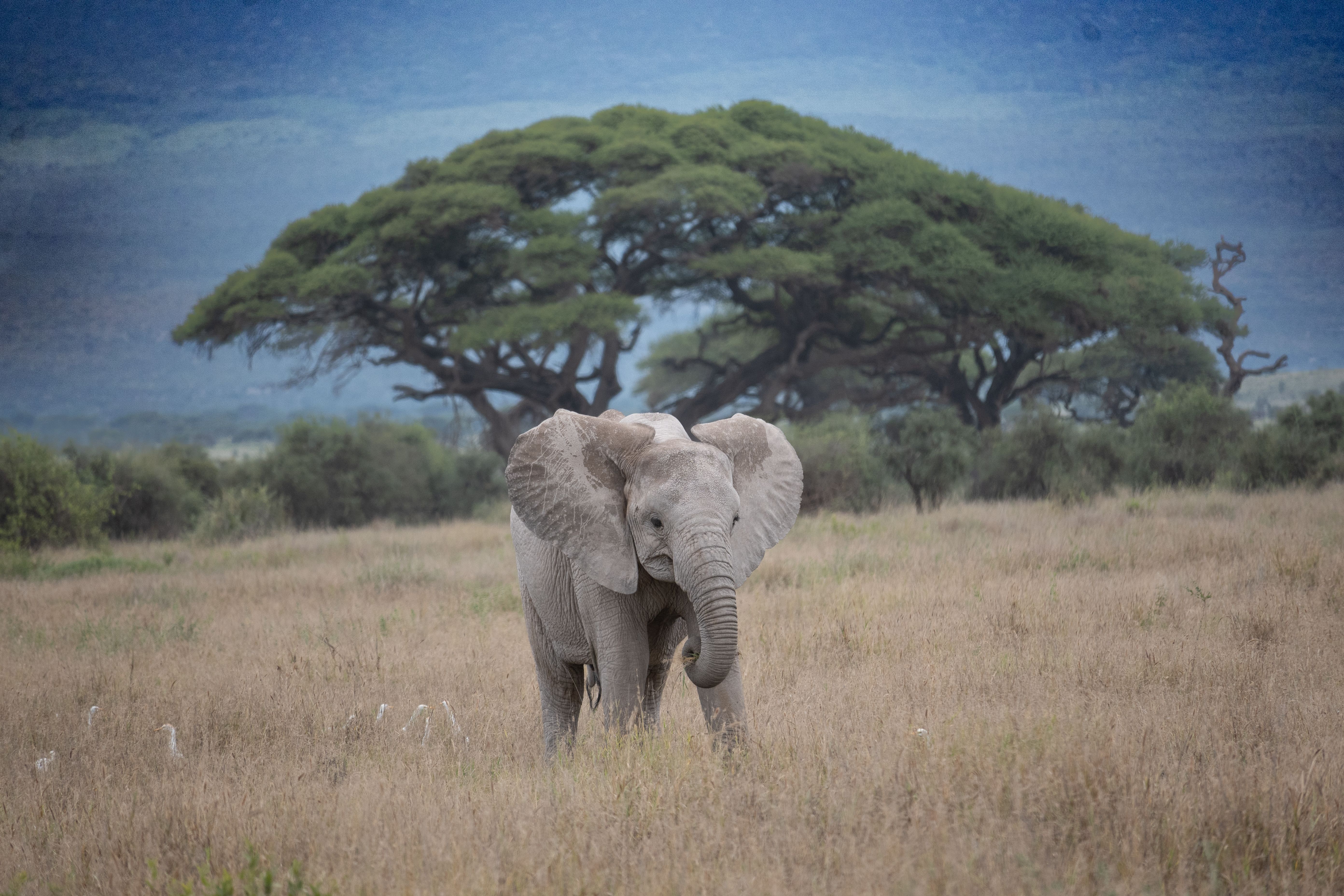  Nature And Environment Photos, Download The BEST Free Nature And Motiv 