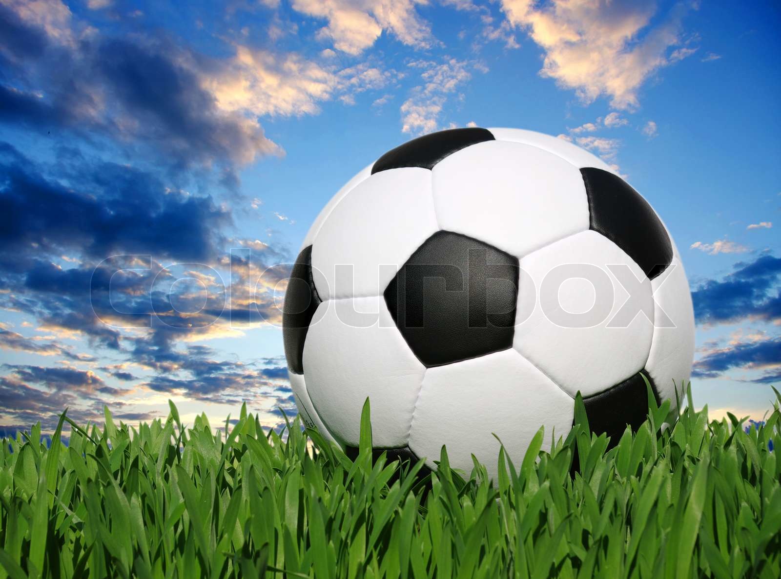 Fussball Weltmeisterschaft 2026 Uhrzeit Fußball Wm 2022 Katar Spielplan, Stadien, Kritik