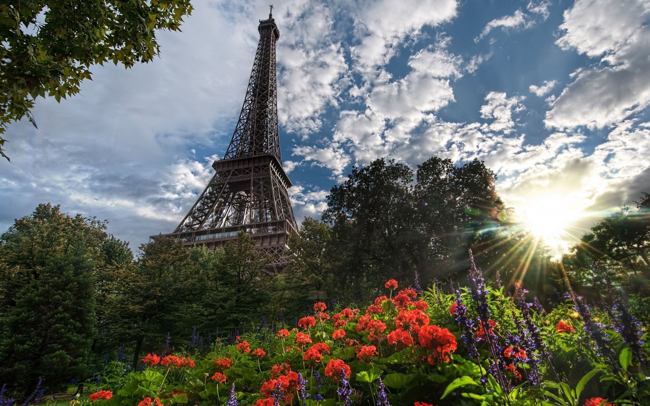 Foto zu eiffel, Tower, Paris, Nature, Trees, Flowers, France, Sunlight, Cities 