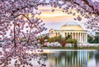 Ac Dc 2026 Dç-2026-nın Formatı Dəyişdirilə Bilər Ac Dc 2026 Dç-2026-nın Formatı Dəyişdirilə Bilər