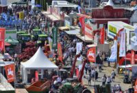 Tarmstedter Ausstellung 2026 5. tarmstedter Typ-cup Tarmstedter Ausstellung 2026 5. tarmstedter Typ-cup