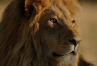 Kreuzfahrt Schnäppchen 2026 Cruises 2026 And 2026 Cruise Deals