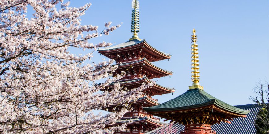 Kirschblütenfest Japan 2026 Japanische Kirschblüte – Erleben Sie Japan