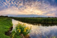 3/8 Inch Carbon Steel Elbow Fitting Installation Guide Beautiful Evening Landscape With The River And Flowers