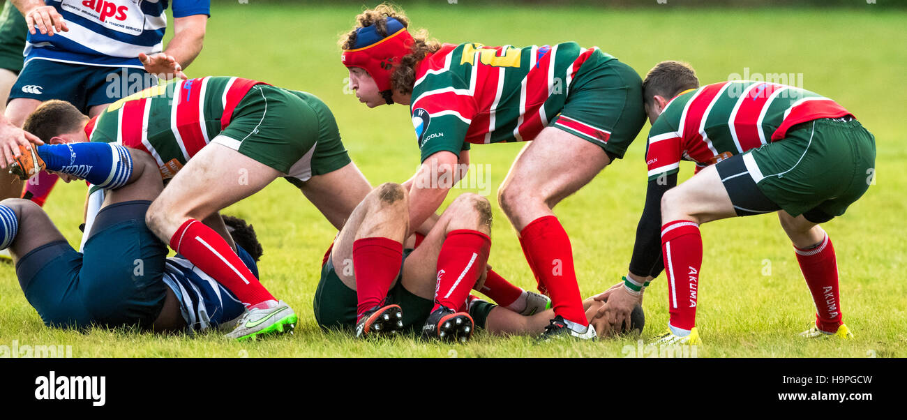  Rugby players playing rugby union Stock Photo - Alamy Illustration 