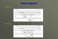 3/8 Inch 316 Stainless Camlock Fitting Size Chart