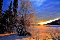 Winter Ferien 2026 Sachsen Winter Free Stock Photo