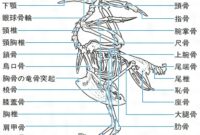 Free Worksheets For Grade 2 Free Worksheets For Grade 2