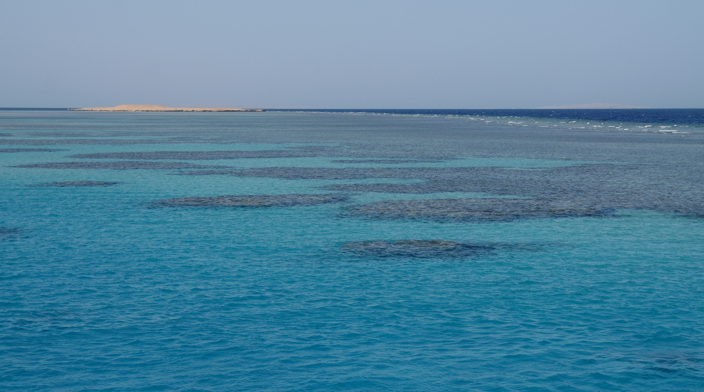  File:Coral reefs in the Red Sea.jpg - Wikimedia Commons 