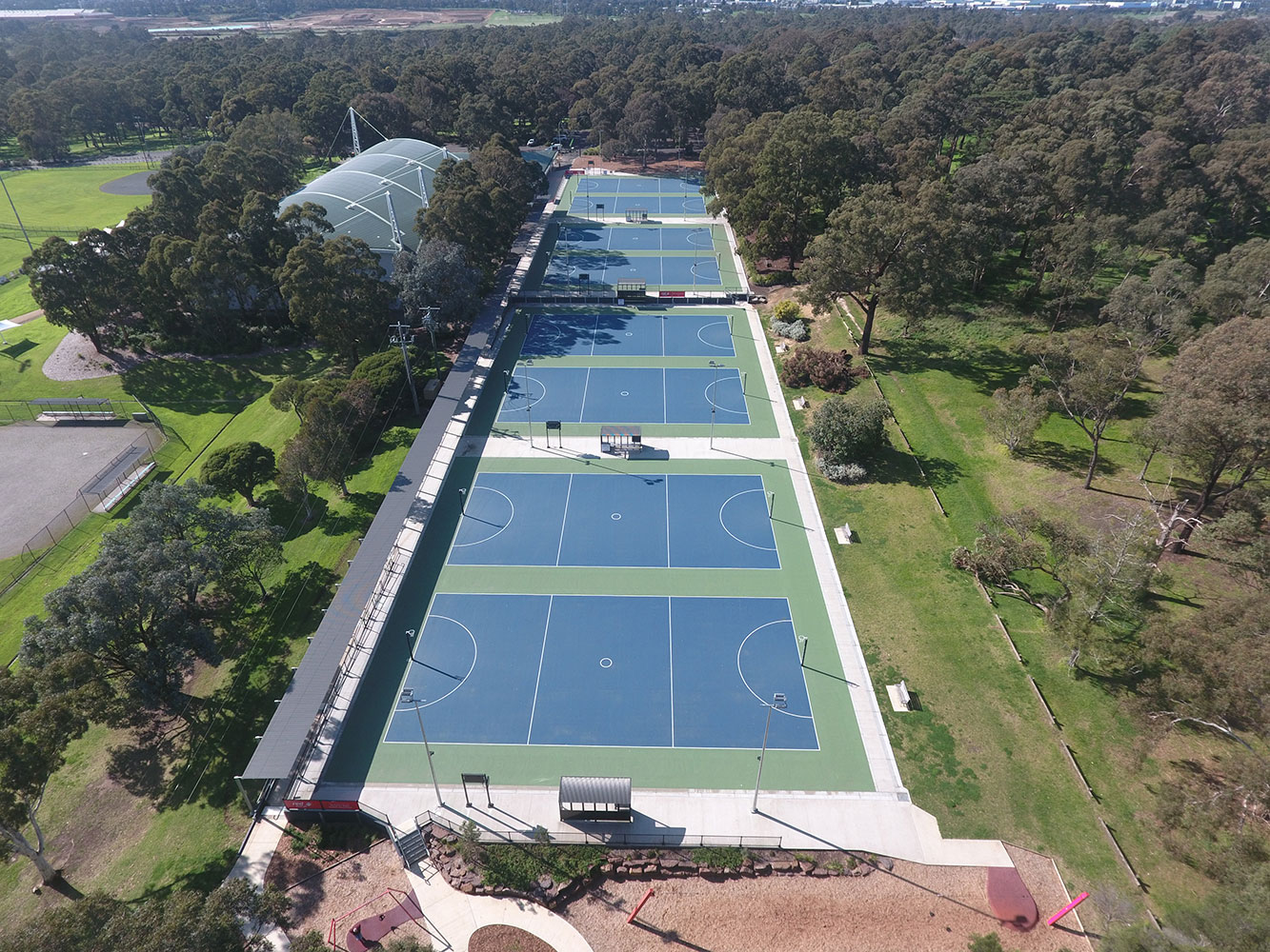 Dinosaur Theme Preschool Lesson Plans Solarhub Act netball Centre
