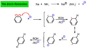 Easy Peasy Homeschool Printables 4th Grade Discuss On The Birch Reduction Of Benzene