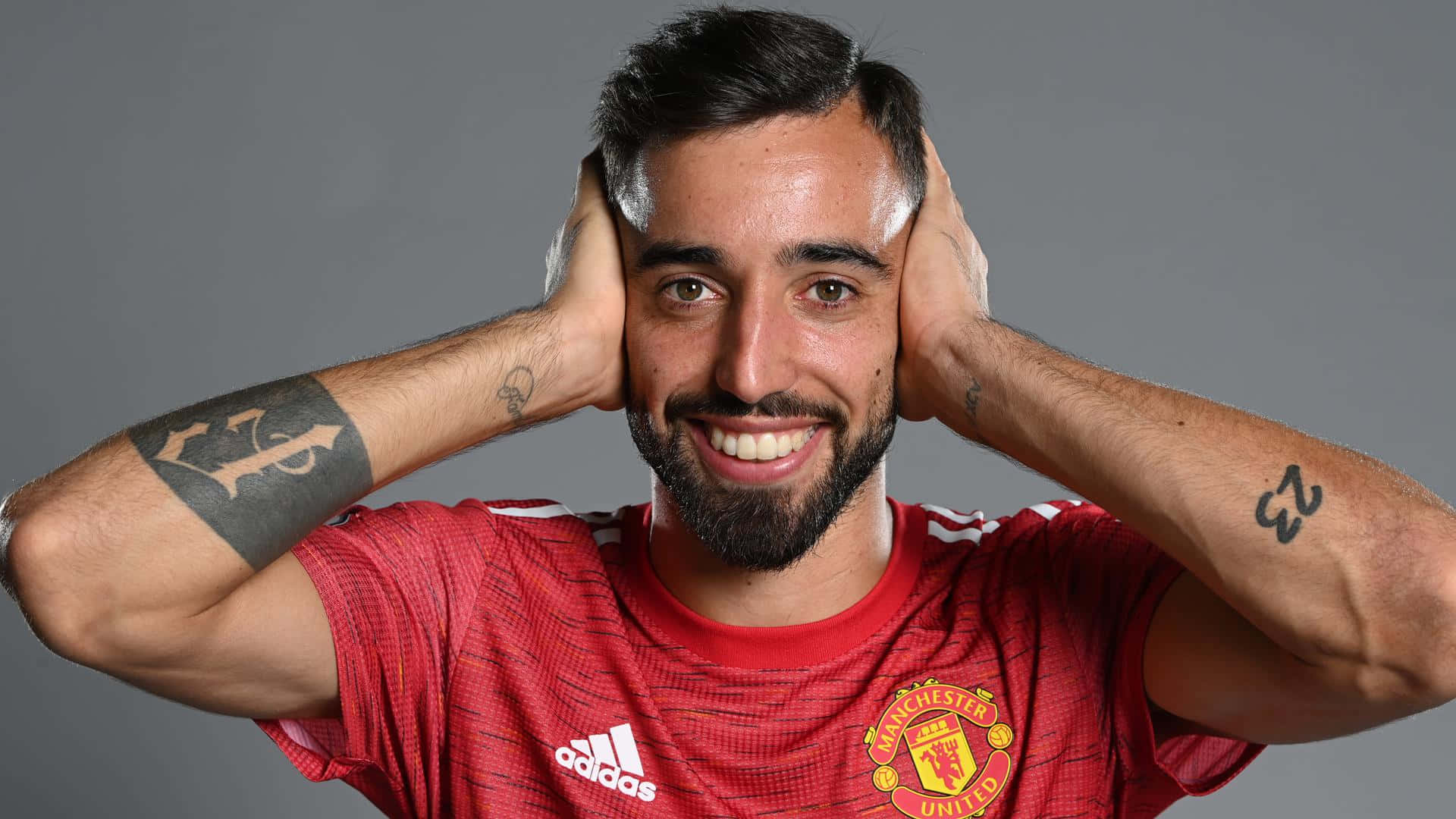  Download Bruno, the Wise Shepherd 