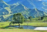 Color Worksheets For Kindergarten Cut And Paste Bukidnon Communal Ranch: How To Get There, Where To Eat And Stay … Color Worksheets For Kindergarten Cut And Paste Bukidnon Communal Ranch: How To Get There, Where To Eat And Stay …