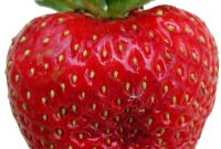 Fruit Color By Number Book Farmers Market Fruit Stand Free Stock Photo