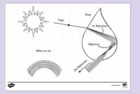 Kindergarten Add Worksheets Describe The Rainbow Worksheet Kindergarten Add Worksheets Describe The Rainbow Worksheet