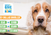 5th Grade Saxon Math Worksheets Rspca Giving Day : Home 5th Grade Saxon Math Worksheets Rspca Giving Day : Home