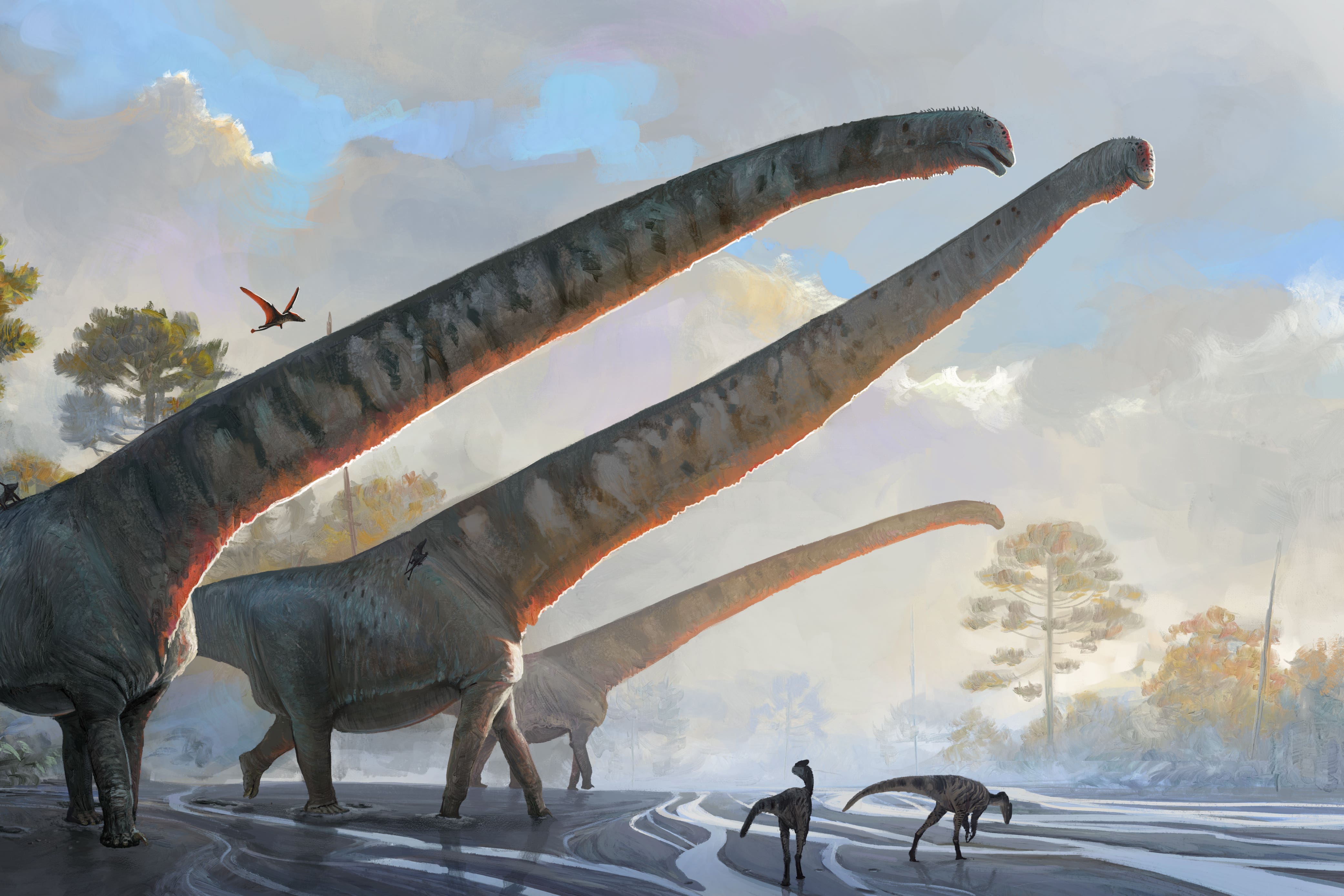  Foto zu Scientists identify dinosaur with the longest neck ever seen in an 