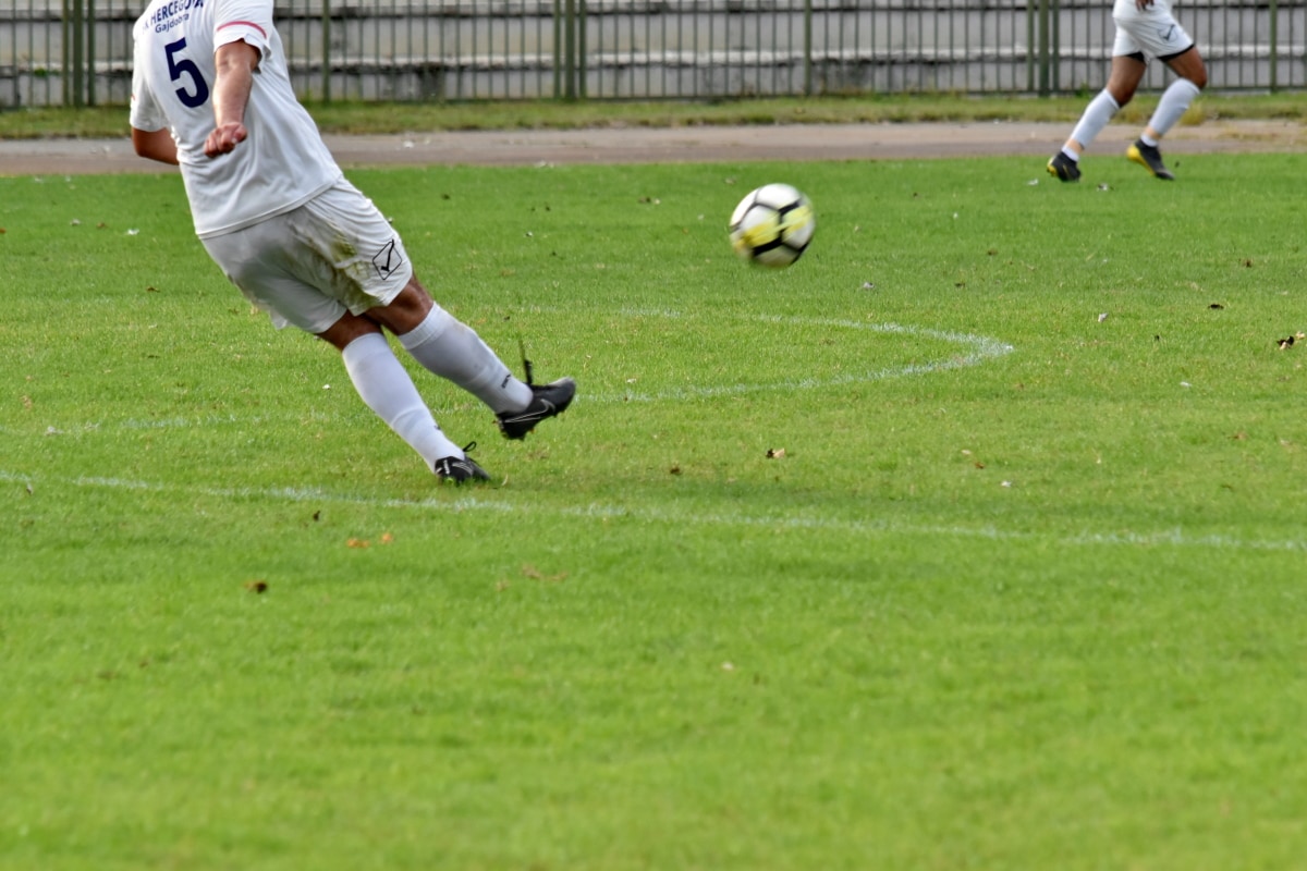  Foto zu Free picture: kick, practice, soccer ball, training, training program 