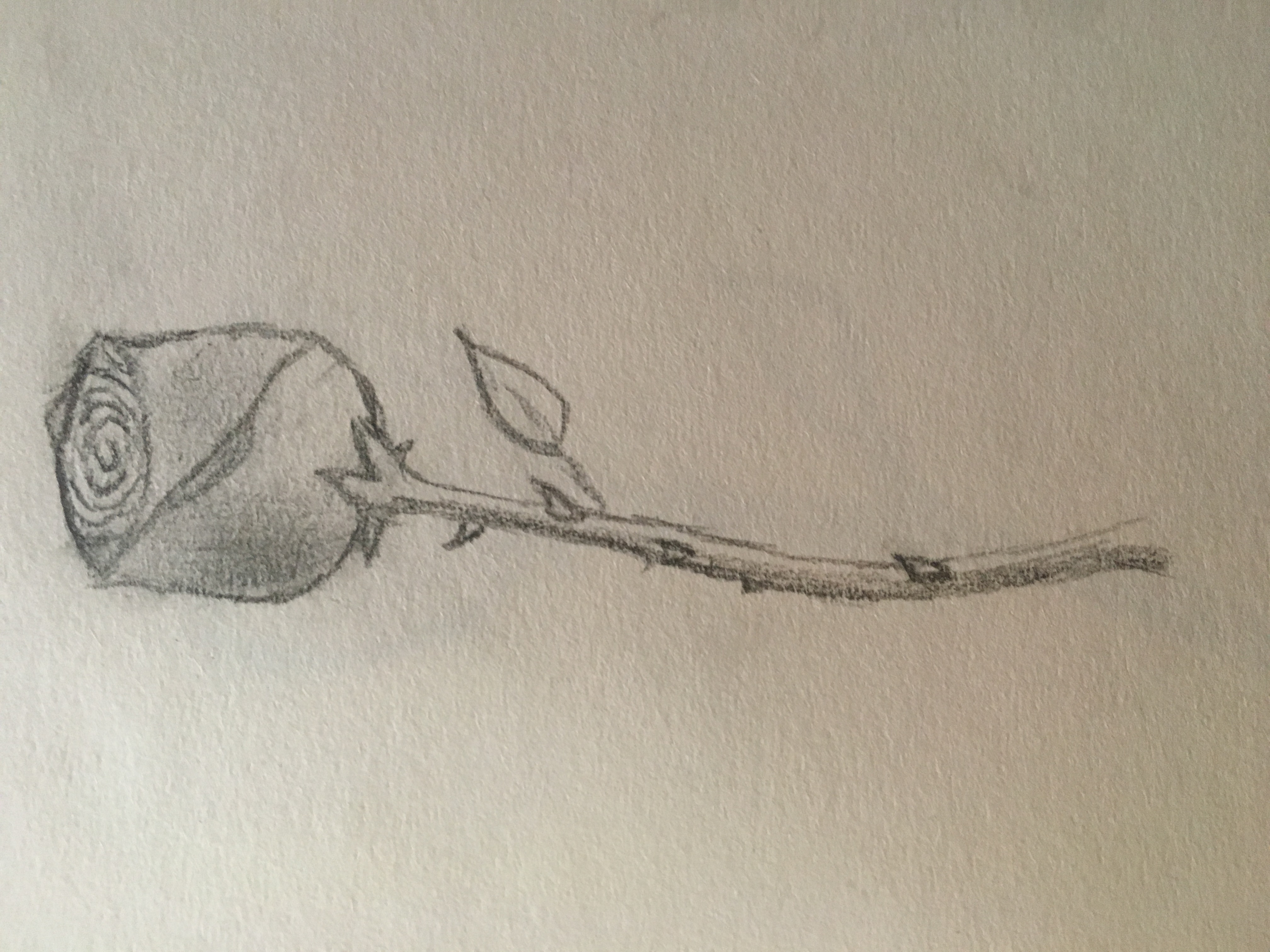  rose (hand drawn) by Jas0NKarIM on Newgrounds Bildidee 