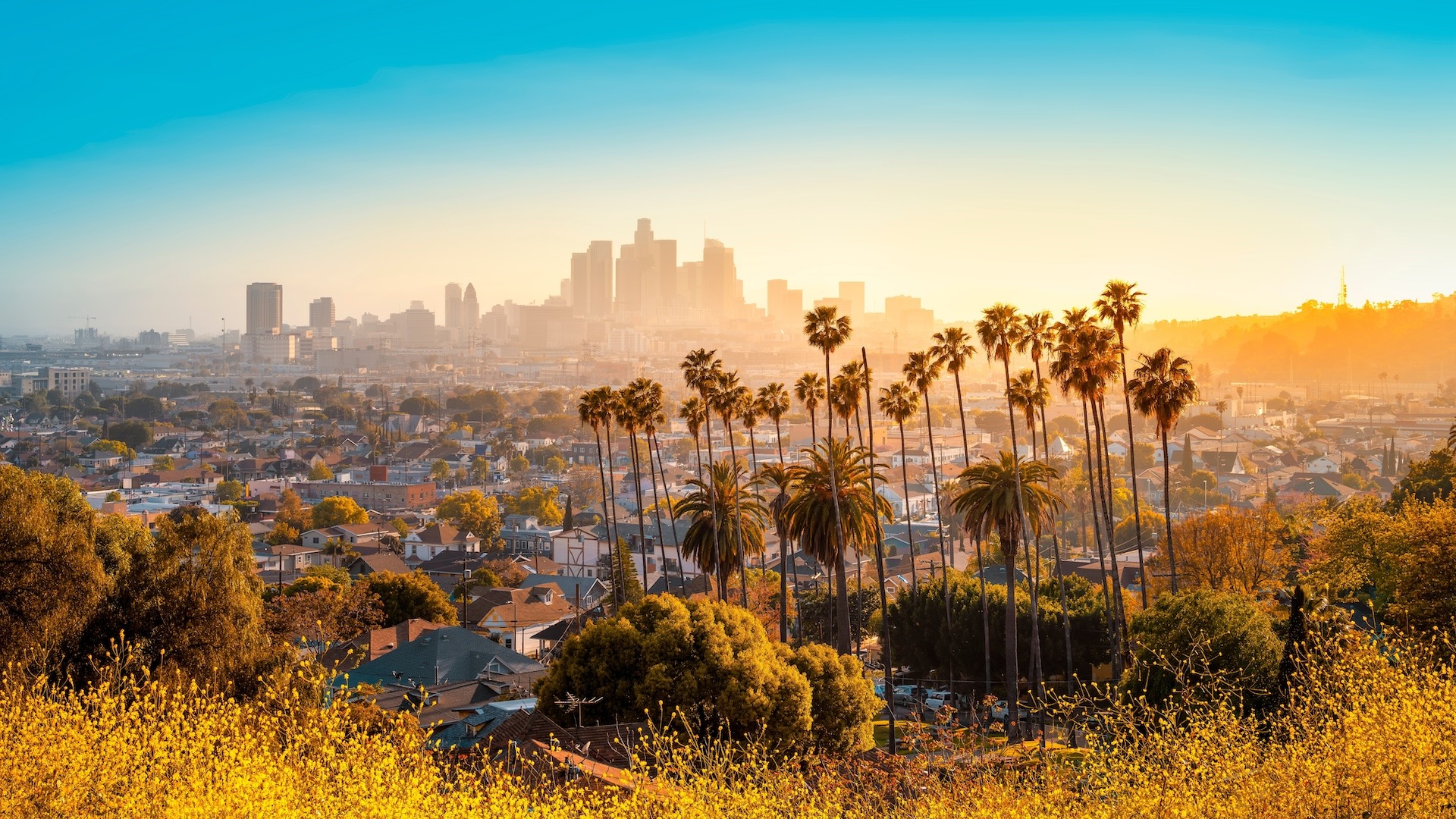  Experience the Magic: Top 20 Unforgettable Things to Do in Los Angeles Motiv 