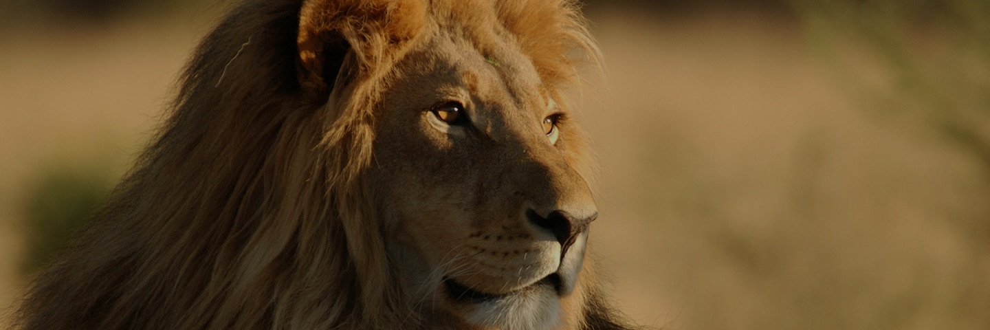  2026 World Cruise - Sense of Adventure 