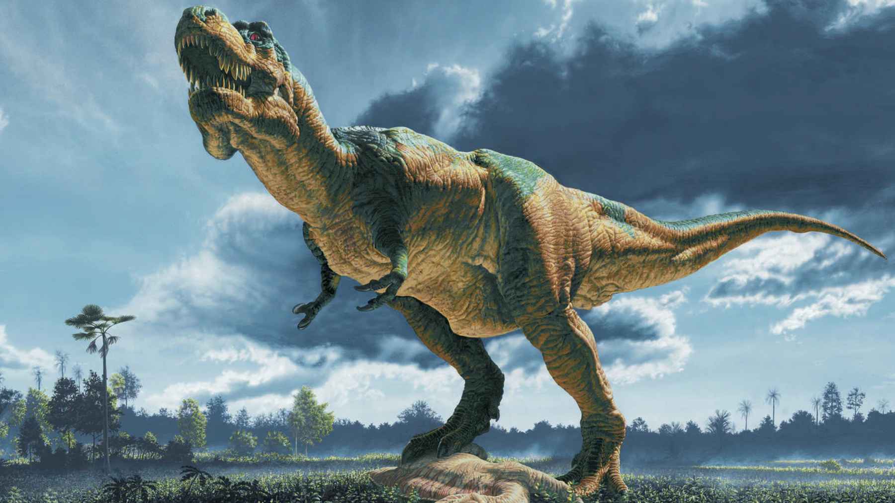  The T. Rex Was Faster Than We Thought, and Sue Proves It - Undiscovered Bildidee 