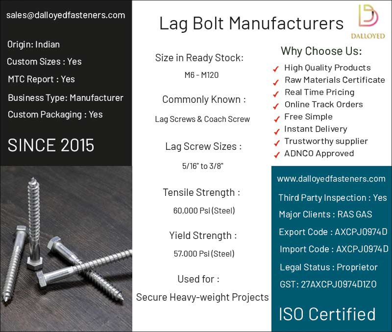  Foto zu Lag Bolt Manufacturers Produce 304 SS Lag Screw in Custom Sizes 