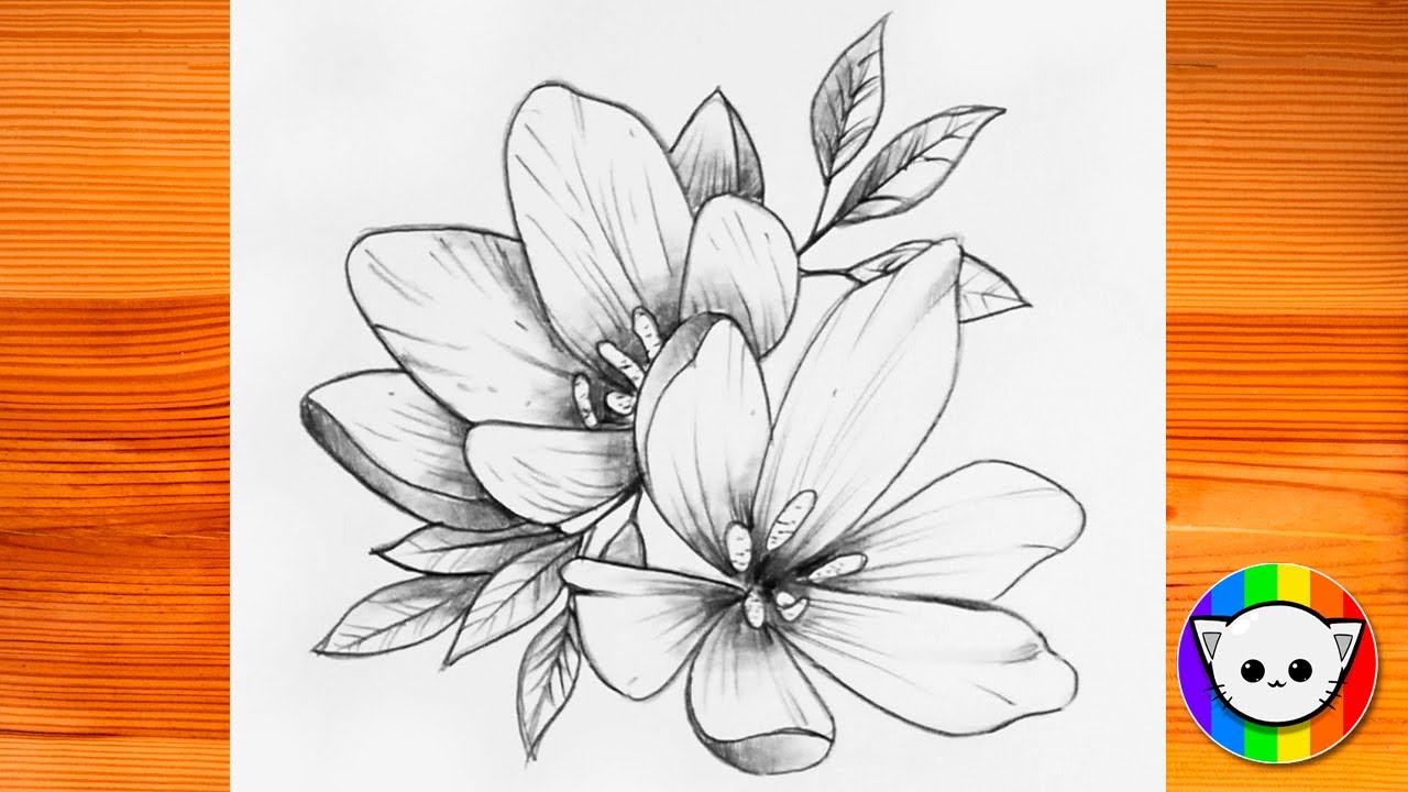  How To Draw Pretty Flowers Bildidee 
