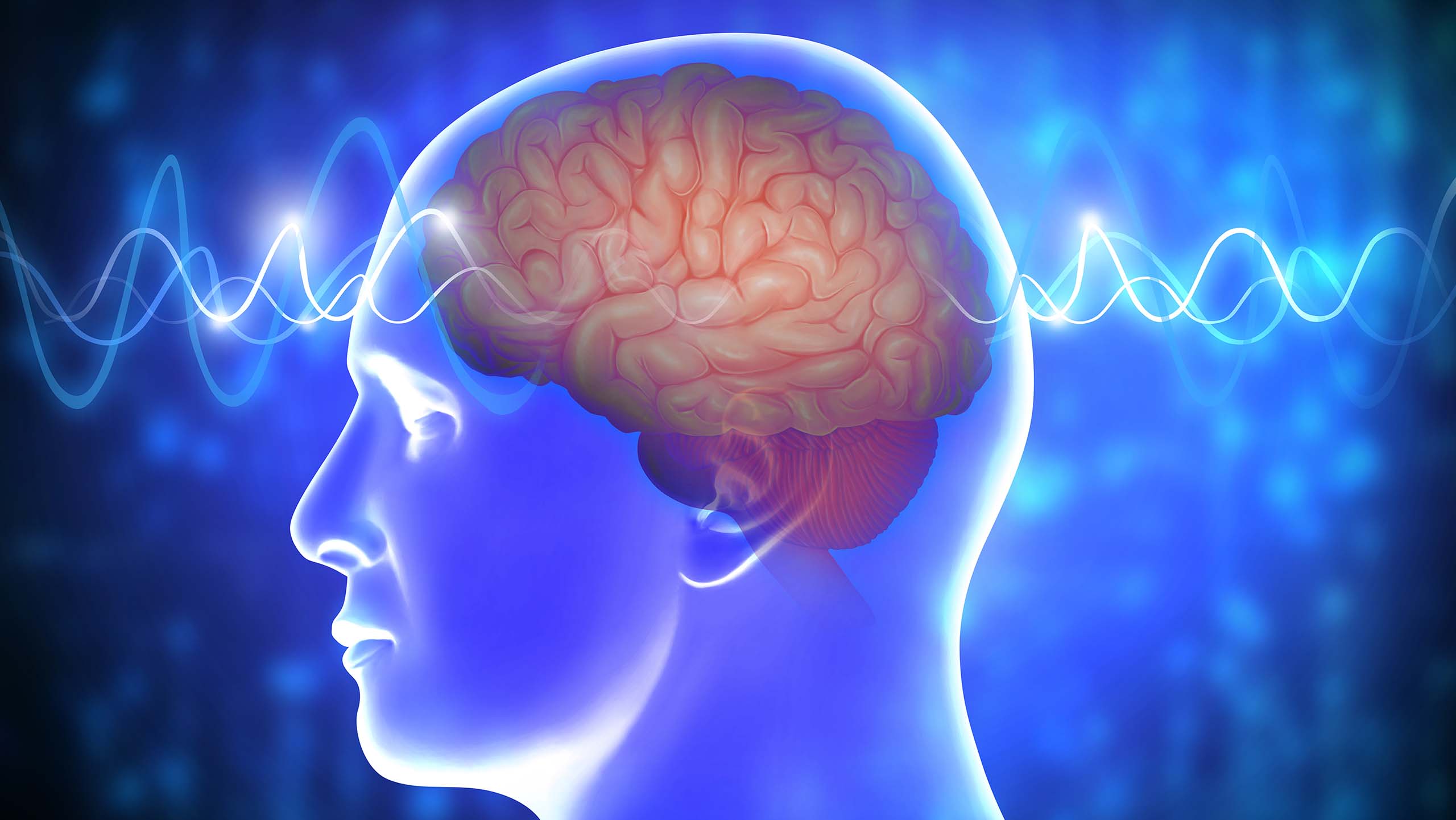  Wiring up the brain Motiv 