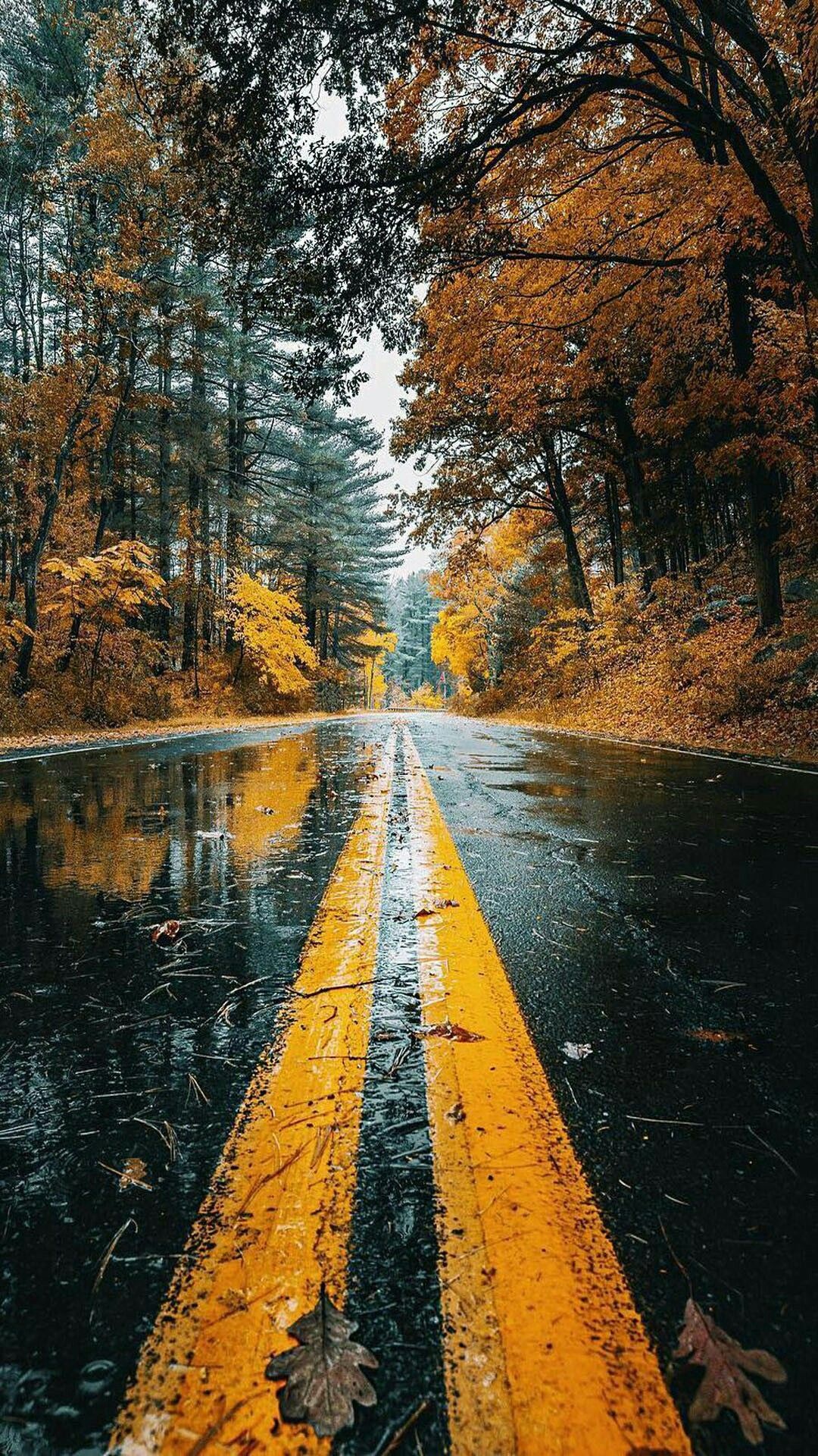  4k Nature Road Wallpapers - Wallpaper Cave Motiv 